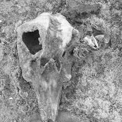 Some Nights (by Cooper and Jackson)