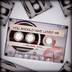 You Should Have Loved Me - 2Drunk2Funk Deep Dub Soul Remix
