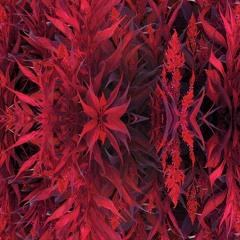 Red Dragon Breath