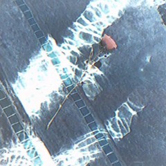 too much to bear (prod. zelus)