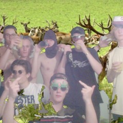 2. Fususe - Fuglekiller