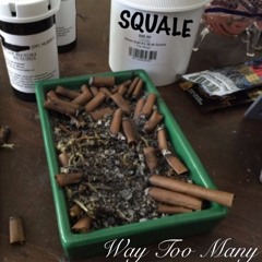SQUALE - WAY TOO MANY