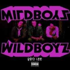 Bro Lee - Wild Boyz