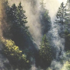 ثم ليقضوا تفثهم وليوفوا نذورهم وليطوفوا بالبيت العتيق من سورة الحج - رعد كردي