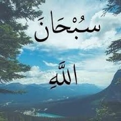 القارئ محمد يوسف- ماليزيا