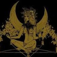 Fresh Otis Forrest -Prag