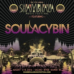 Soulacybin - Live At Shambhala 2016