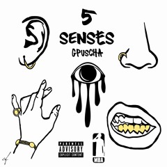 5 Senses