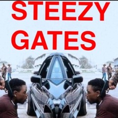 Steezy Gates - Murder In My City