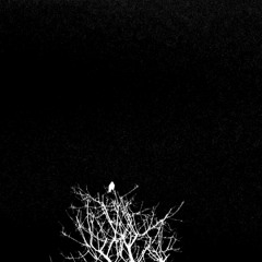 Colgando En Tus Manos - Carlos Baute y Marta Sanchez || Cover por Vania Karina y Alex