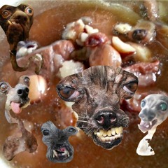 Disembodied Headcase