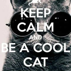 Mr Cool Cat
