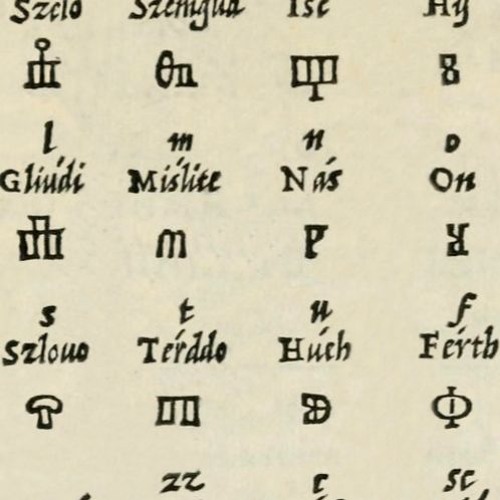 Shadow - Echo - Transcription