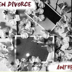 Teen Divorce-Anthem