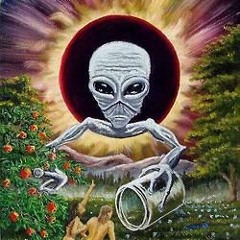 CAPTAIN SOLO - GOACID 159BPM