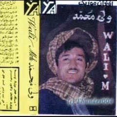 wali mohammad kandahari  نن مي ياديږي د  ارغنداب شنکي باغونه   ولي محمد
