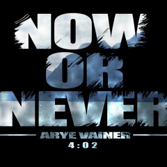 Arye Vainer - Now Or Never(Original Mix)