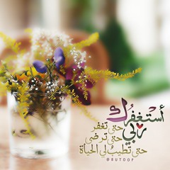 سورة ابراهيم بصوت القاريء ماهر المعيقلي