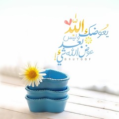 سورة مريم بصوت القاريء ماهر المعيقلي