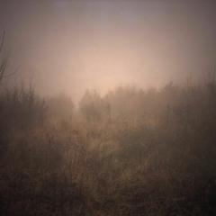 Over the Moor (for string quartet)