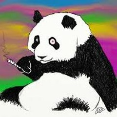 Desiigner - Panda (Trance Remix & Edit by Paradox)