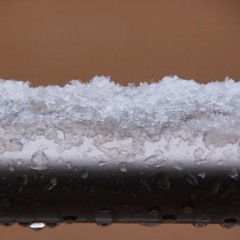 Nevischio (Verdena cover)