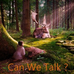 Skazka - Can We Talk ? (Pardes Album)