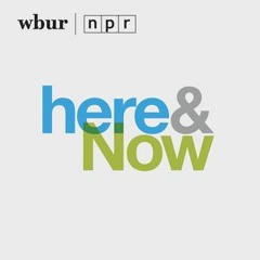 Here & Now Louisiana 3rd Congressional District Segment 09092016