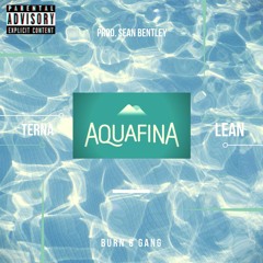 Terna Lean - Aquafina