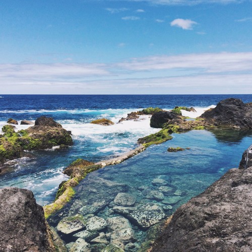 Trapping In Spanish - SPACEKING