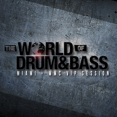 World of Drum and Bass 2016 (live mix)