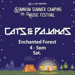 Road to Somnium Summer 2016 - Cats & Pajamas