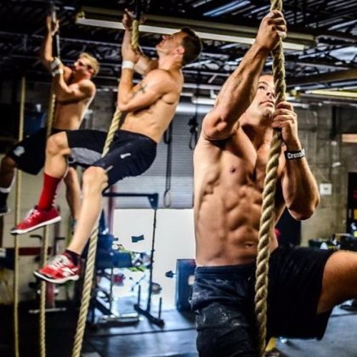 Wod hard online
