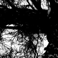 2012-2016 Film and Telivision