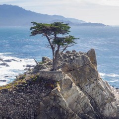 CentralCoast Sessions vol 1.  9.2016