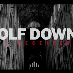 WOLFxDOWN - True Deceivers //Guitar Cover //