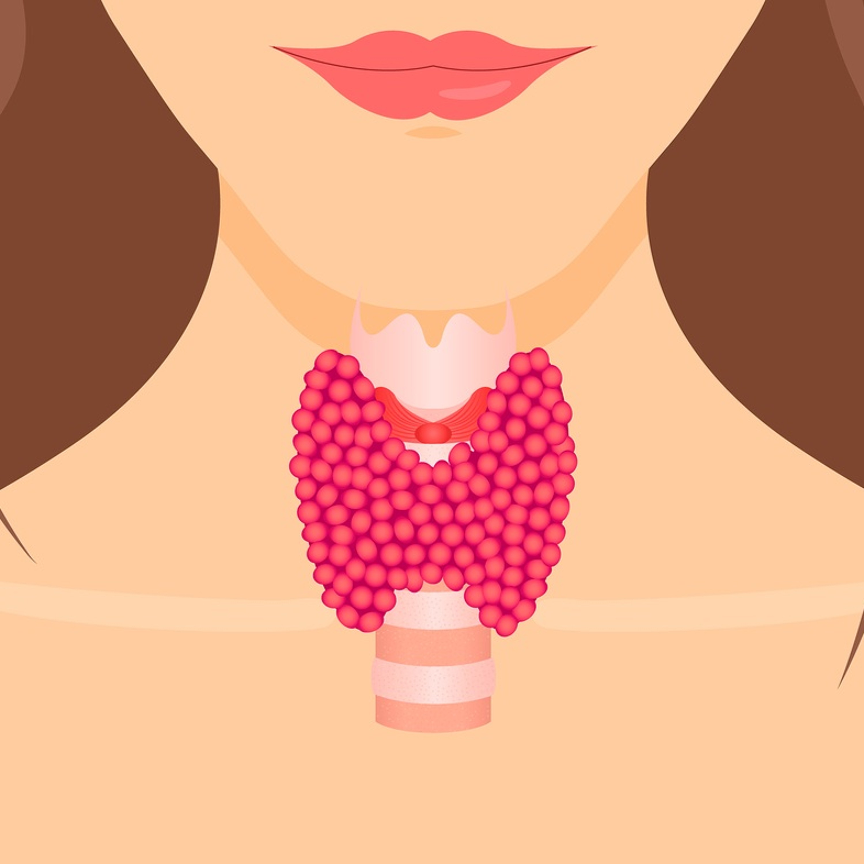 cover of episode Mysteries of the Thyroid - Radio Show Archive