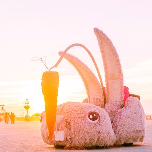 Lucy's Playa Bush for burning man 2016