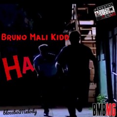 Bruno Mali Kidd - Ha (FAST)