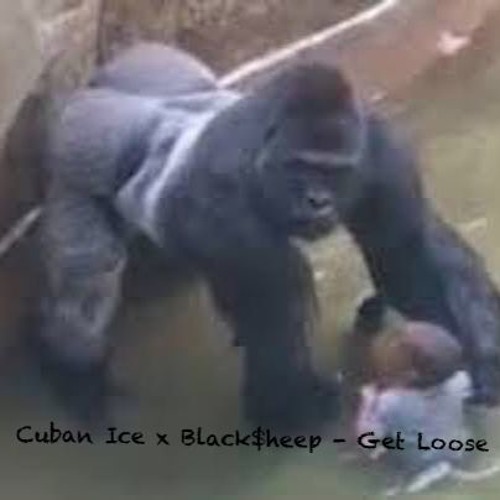 Cuban Ice x Black$heep - Get Loose: Beat prod by (Jewfy)