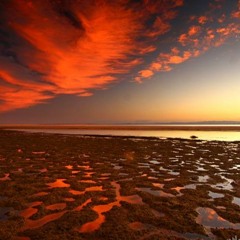 EMERGENCE Part 6 (Out Of Tide Mix)