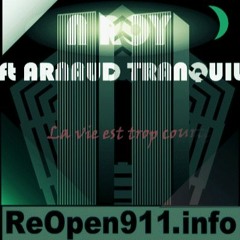 N ROY Ft Arnaud Tranquil; La Vie Est Trop Courte