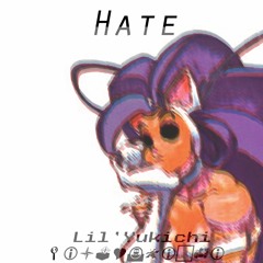 Lil'Yukichi - HATE