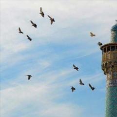 خالد الراشد .. قصه سعيد بن الحرث