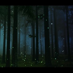 Fireflies (sketch version)