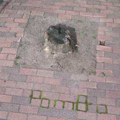 Vad är du rädd för? feat. Christof Kurzmann