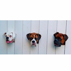 WHAT MY GANG ABOUT [FT. YUNG PIRATE // DRE SWISHER]