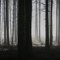 16th. instrument (2015)