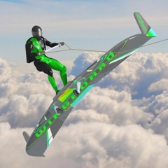 Reflex Condition - Wing Rider