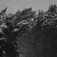 PROLOGUE / Hell Collective